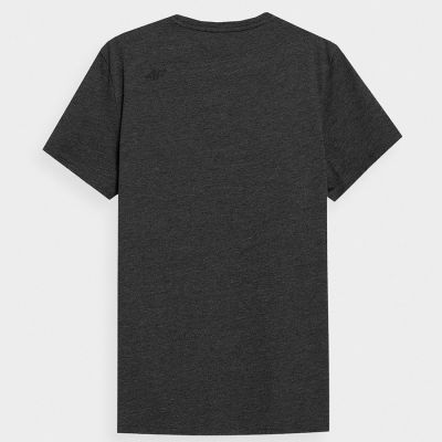 2. Koszulka 4F M 4FSS23TTSHM536 23M