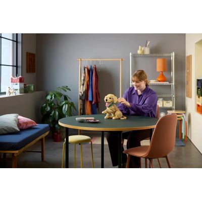 10. LEGO 11384 Icons - Szczeniak golden retriever