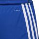 4. Spodenki adidas Tastigo 19 Shorts Jr DP3682