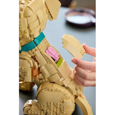 14. LEGO 11384 Icons - Szczeniak golden retriever