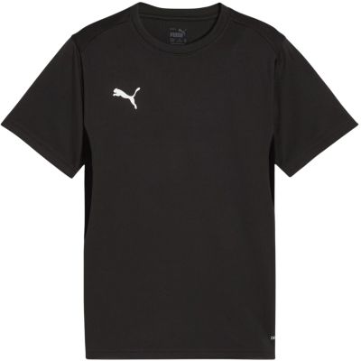 Koszulka dla dzieci Puma TeamGoal Jersey czarna 658637 03