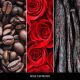 2. Odświeżacz do samochodu WHITE ROSE ESPRESSO MILLEFIORI