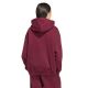 2. Bluza z kapturem damska adidas Essentials Fleece Originals KT2274