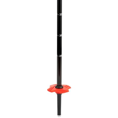 8. Kije narciarskie ROSSIGNOL Telescopic Jr - niebieski