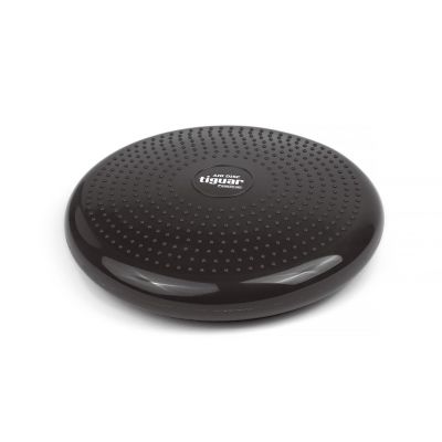 2. tiguar dysk (air disc) - grafit