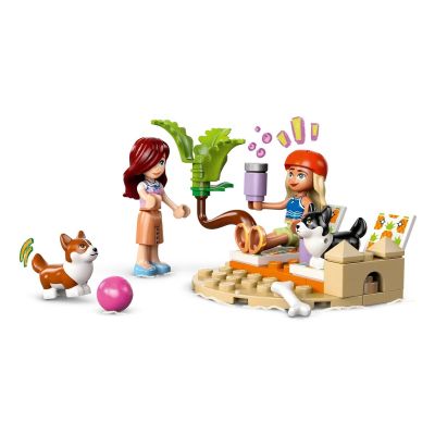 5. LEGO FRIENDS 42641 Przygoda z surfującymi psami i skuterem