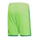 2. Spdenki adidas Regista 18 Short M CF9598