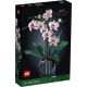 15. LEGO Icons 10311 - Orchidea