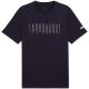 6. Koszulka Puma Sport Graphic Tee M 684617 16