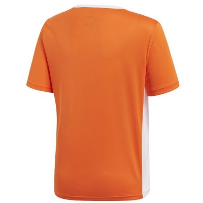 2. Koszulka adidas Entrada 18 JSY Y Jr CF1043