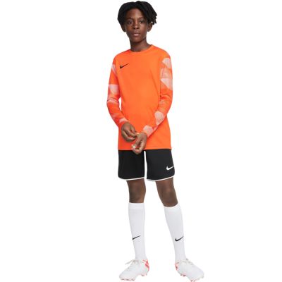 Koszulka Nike Dry Park IV JSY LS GK Jr CJ6072-819