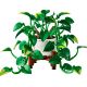 3. LEGO Botanical Collection 11512 - Wiszące epipremnum złociste