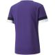 6. Koszulka Puma teamRise Jersey M 704932 10