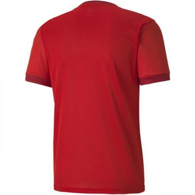 3. Koszulka Puma teamGOAL 23 Jersey M 704171 01
