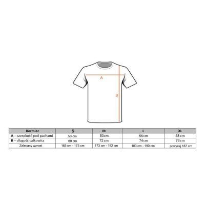 4. CLASSIC BRAND WHITE T-Shirt KOSZULKA BAWEŁNIANA DBX BUSHIDO  KT10-M