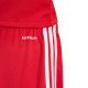 5. Spodenki adidas Squadra 25 Jr JJ2416