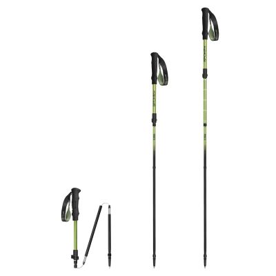 6. Kije trekkingowe Spokey Terra SPK-944825