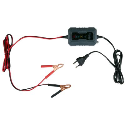 2. PROSTOWNIK DO AKUMULATORÓW DUNLOP  6/12V