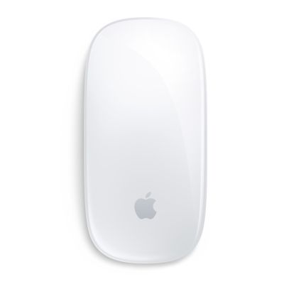 2. Apple Magic Mouse - White Multi-Touch Surface