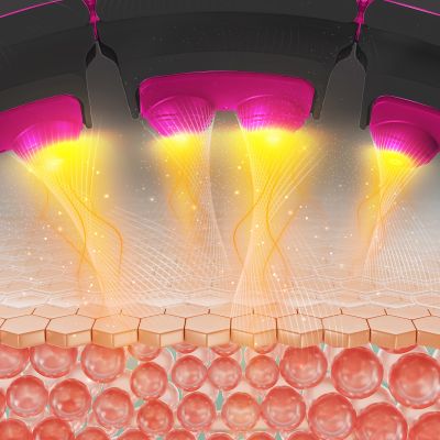 5. HHM16 HULA HOP BLACK/PINK Z MAGNESAMI I OBCIĄŻNIKIEM + LICZNIK HMS