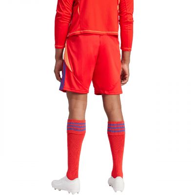 2. Spodenki adidas Tiro 24 M IT2416
