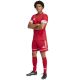 4. Spodenki piłkarskie adidas Squadra M 25 Short JN5466
