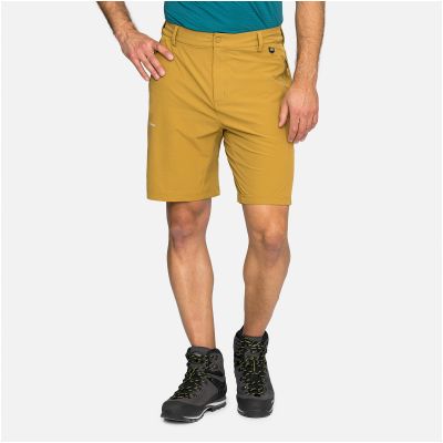 4. Spodenki męskie VIKING Expander Shorts Man brązowe