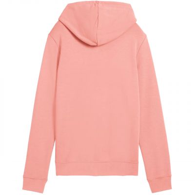 2. Bluza Puma ESS No.1 Logo Hoodie W 682391 18