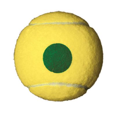 2. Piłki tenisowe Wilson Starter Play Green Junior (4 szt)