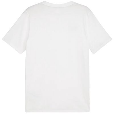 2. Koszulka Puma Team Goal Casuals Tee M 658615 04