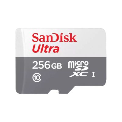 2. SANDISK ULTRA microSDXC 256GB 100MB/s A1 CL10 UHS-I