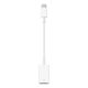 Apple USB-C - USB-A Adapter