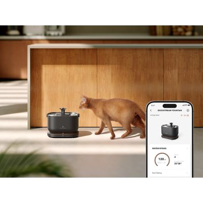 Petlibro Dockstream Smart karmnik / pojnik dla psa lub kota Kopolimer akrylonitrylo-butadieno-styrenowy (ABS), Stal nierdzewna Czarny Kot Automatyczne poidło dla zwierząt