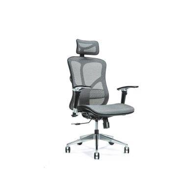 3. Ergonomiczny fotel biurowy ERGO 500 szary