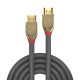3. Lindy 37601 kabel HDMI 1 m HDMI Typu A (Standard) Szary