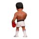 4. MINIX - MUHAMMAD ALI