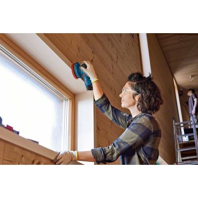 6. Bosch GEX 12V-125 Professional