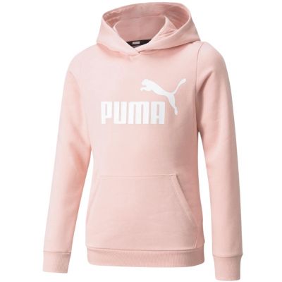 3. Bluza Puma ESS Logo Hoodie FL Jr 587031 36
