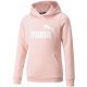 3. Bluza Puma ESS Logo Hoodie FL Jr 587031 36