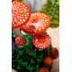 7. LEGO Botanical Collection 11505 - Grzyby leśne