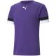 5. Koszulka Puma teamRise Jersey M 704932 10