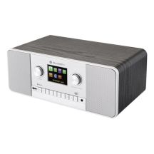GoGen IR 257 BTDAB Internet Cyfrowy Srebrny