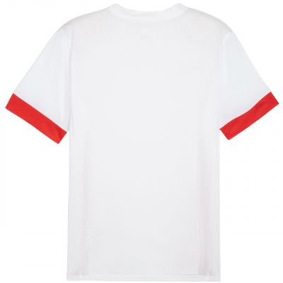 2. Koszulka Puma teamGoal Matchday Jersey M 705747 11