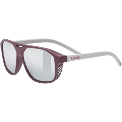 6. Uvex cosmic Unisex Oprawki pełne Srebrny