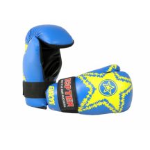 Rękawice Pointfighter TOP TEN EUROPE