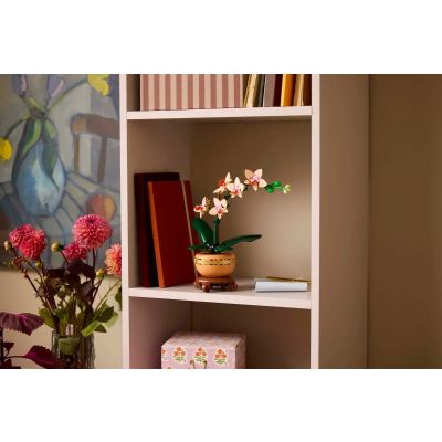 8. LEGO Botanical Collection 10343 - Mała orchidea