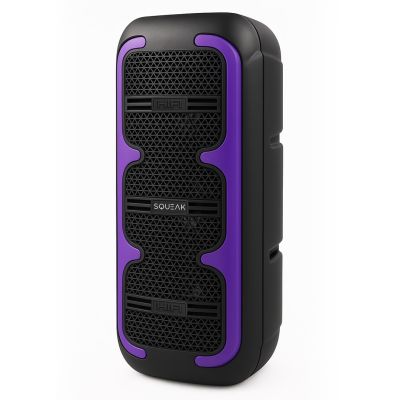 12. SQUEAK GŁOŚNIK KARAOKE BEATONE BLUETOOTH 5.3, 45W RADIO FM, MICROSD, AUX, USB, USB-C SQ1009