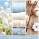 8. Zawieszka samochodowa bonus pack CLEAN COTTON YANKEE