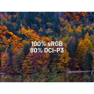 11. Monitor JAPANNEXT 60,5cm JN-I238FHD120F-HSP-YE 16:9 HDMI żółty FHD