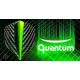 10. Piórka Harrows QUANTUM